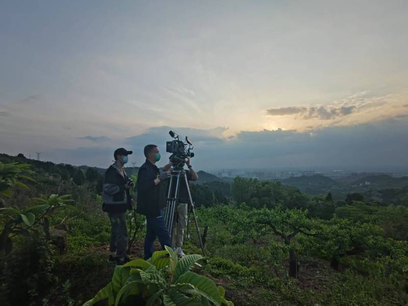 创意破圈！汾阳市电商产品宣传视频用故事化叙事引爆流量