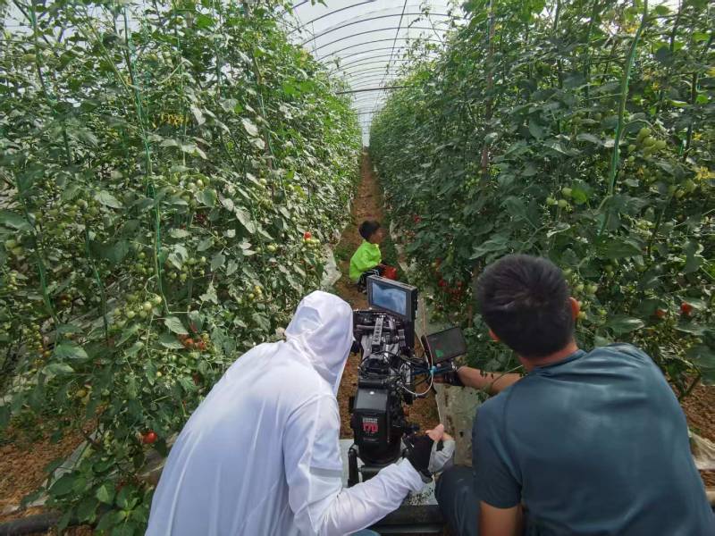 汾阳市产品宣传视频拍摄公司进阶指南，助力品牌抢占传播高地